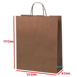 12 Bolsas Papel Kraft 120 Gr 20x15x6 Cm Biodegradable Ecologicas